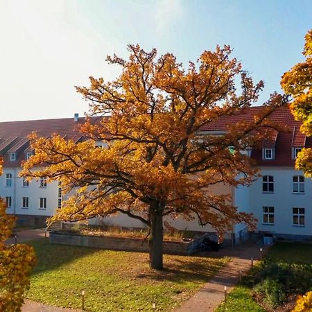 Parkresidenz Lychen, Ferienwohnung 8 Exterior foto